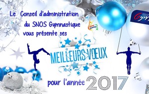 Meilleurs Voeux pour 2017!