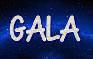 Gala de fin d'année