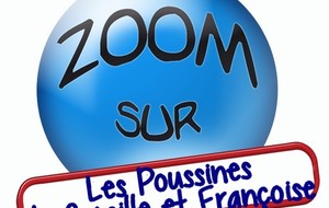 Zoom sur les pousines de Camille Françoise