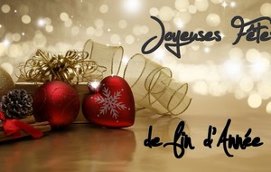 Le SNOS vous souhaite de joyeuses fêtes de fin d'année !