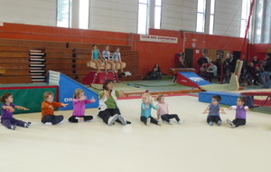 50d4ed48e330a_P1040577.JPG
