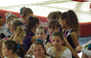 51c210569f7ef_DSCF0290.jpg