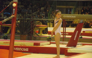 530a70743d531_20140223055312.JPG