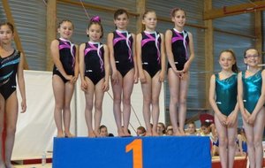 538503253fbf5_FinaleZoneLavalDIRBenjamines25Mai201464.JPG