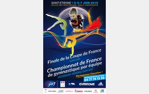 Championnat de France Equipes DC/DF