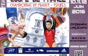 Compétition Equipe France GAM GAF National Fédéral