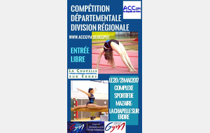 Département Equipe - Championnat régional DR1 et DR2 - La Chapelle sur Erdre