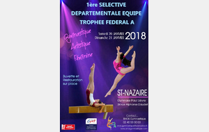 Sélective 1 Départementale Equipe Fédéral A - GAF/GAM - SNOS (44)