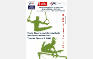 Finale Départementale Individuels Performance GAF/GAM - Fédéral A GAM 10 ans et Plus - Régionale GAM 7-10 ans / UMP-St Nazaire (44)