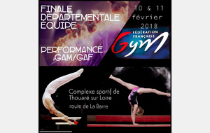Finale Départementale Equipe Performance GAF/GAM - Thouaré sur Loire (44)