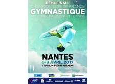 Zone équipes - Championnats de France et Trophée Fédéral GAM/GAF - Nantes (44)