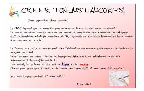 Créer ton justaucorps